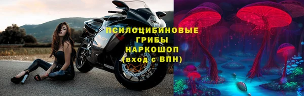 прущая мука Богородицк