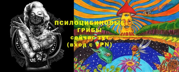 мдпв Богданович
