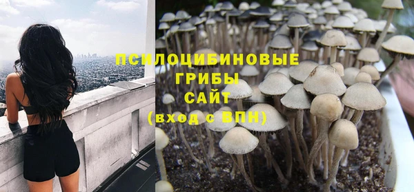 мдпв Богданович