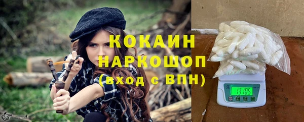 мдпв Богданович